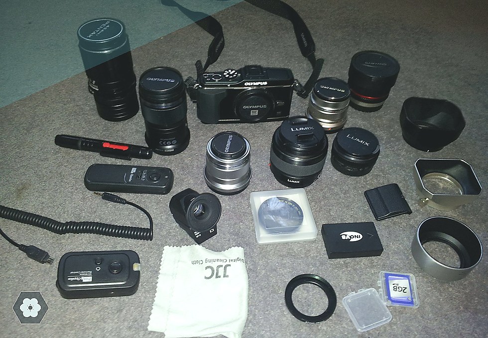 What to bring to a family photo shoot at Northvale